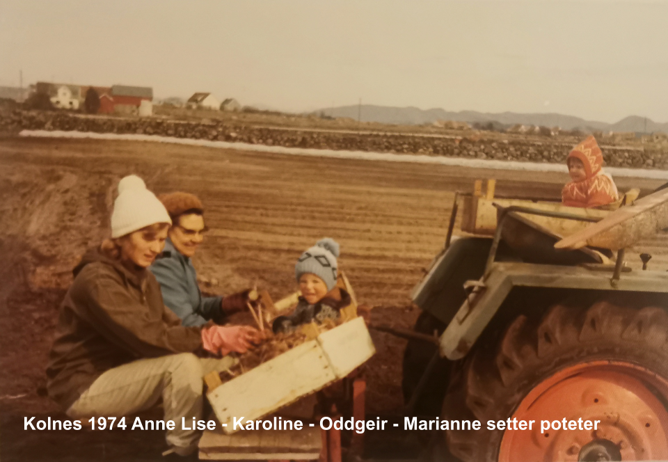 Kolnes 1974 Anne Lise - Karoline - Oddgeir - Marianne setter poteter